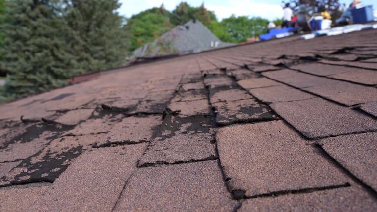 Best Rubber Roofing (EPDM, TPO)  in USA
